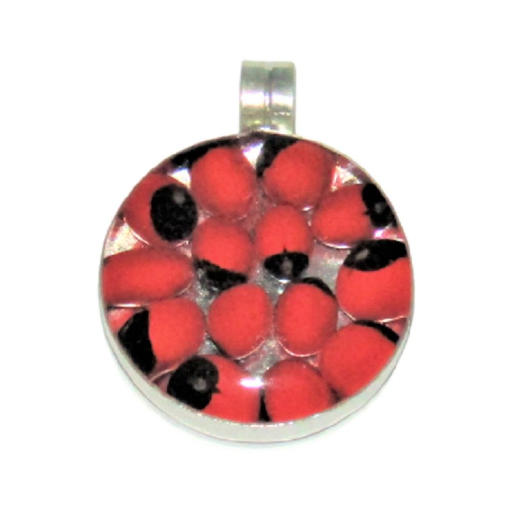 NWOT Beautiful Peruvian Huayruro Circular Pendant IF-IC2Y-CJTC